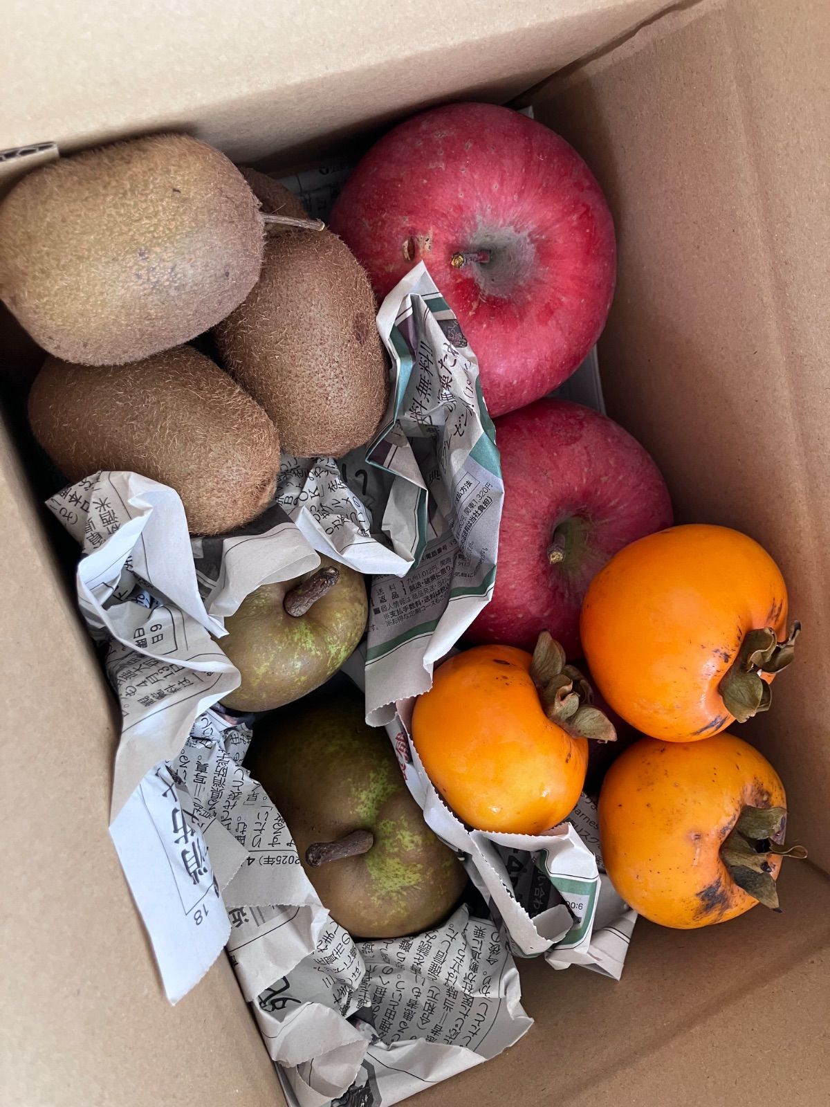 大沼映夫、『マンドリンを持つ女』、希少レゾネ、高級額装付、版上