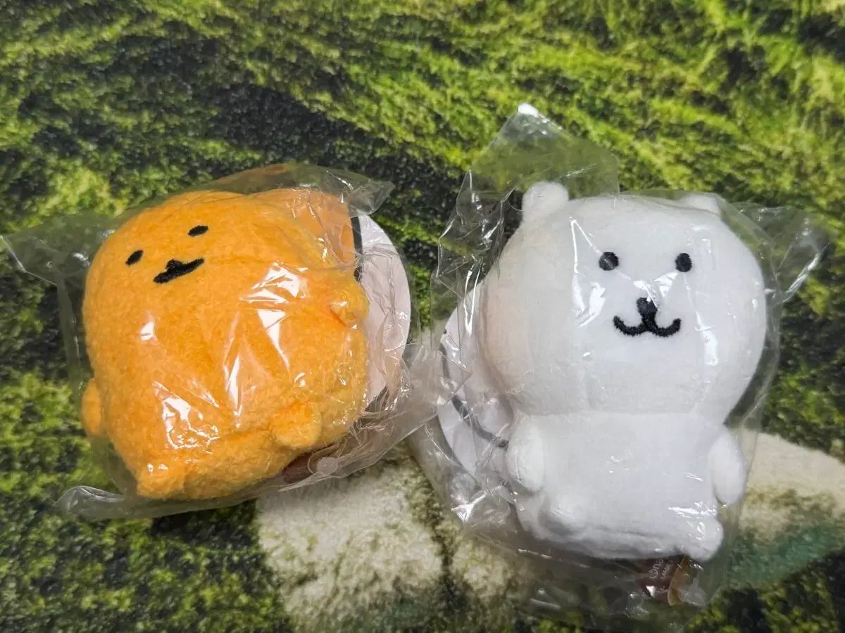 ナガノマーケット ナガノのくま 自分ツッコミくま ナガノ まとめ売り 