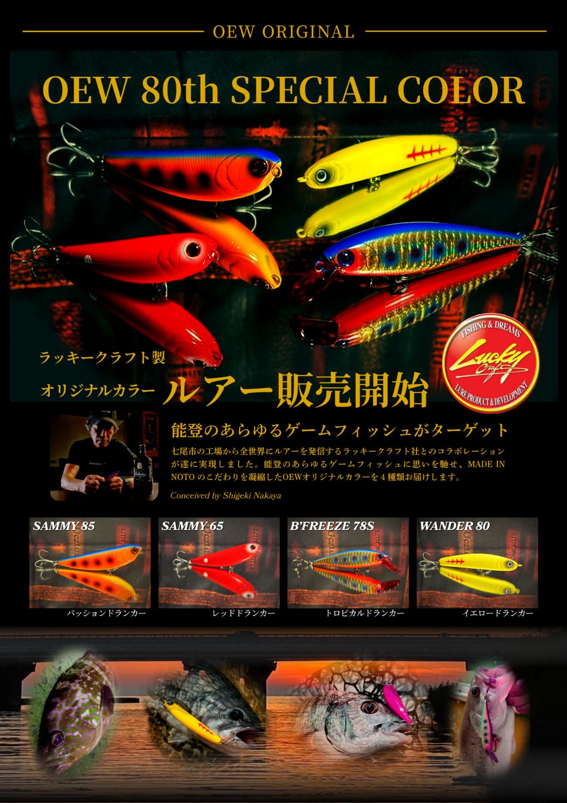 計８点 特別セット