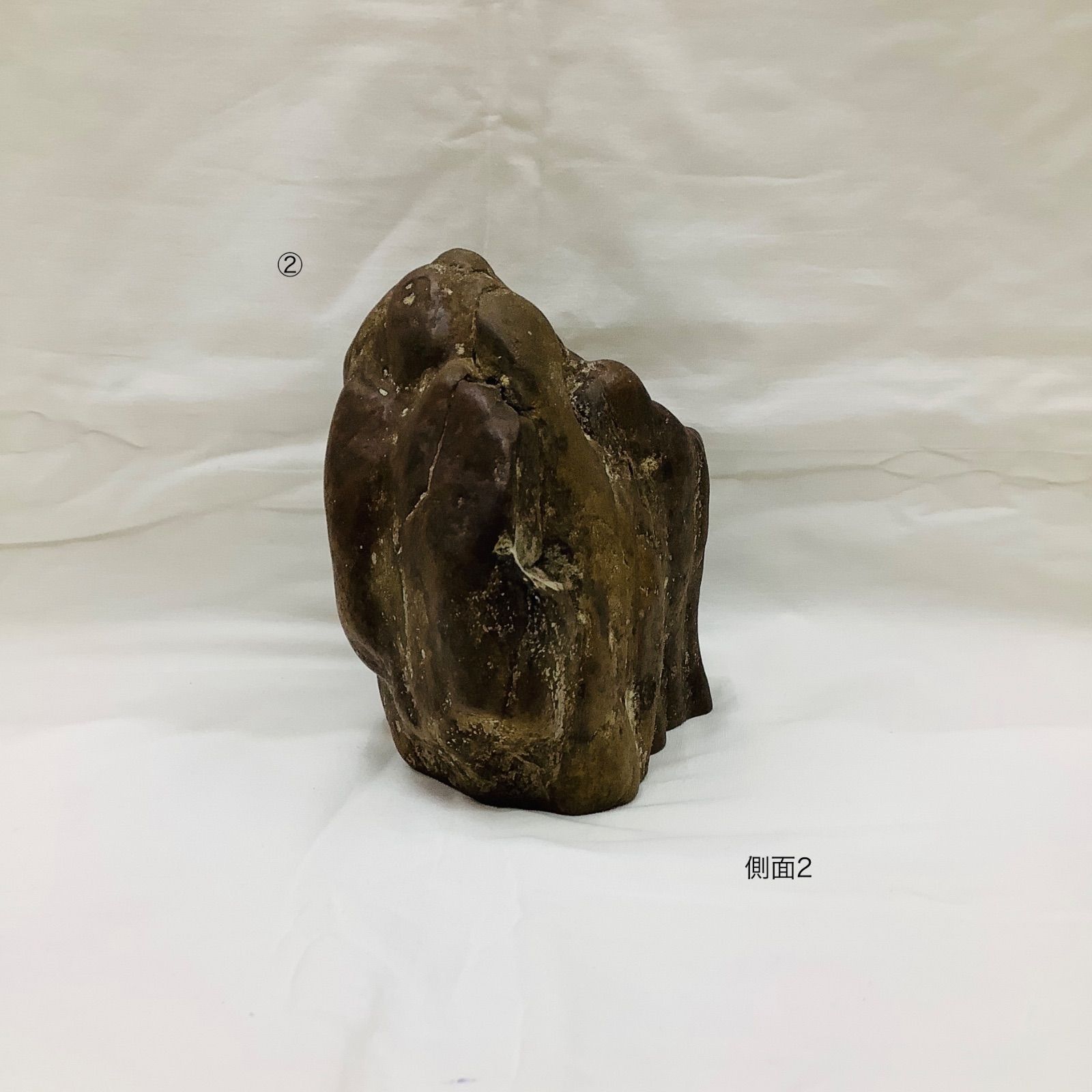 盆石 水石 瀬田川虎石②