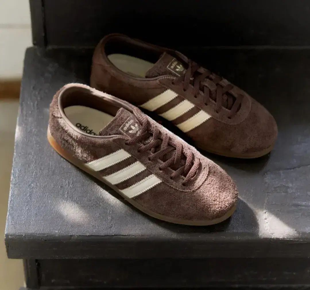 アディダス ガゼル ロー プロ - ダークブラウン クリームホワイト ムシンサエディション