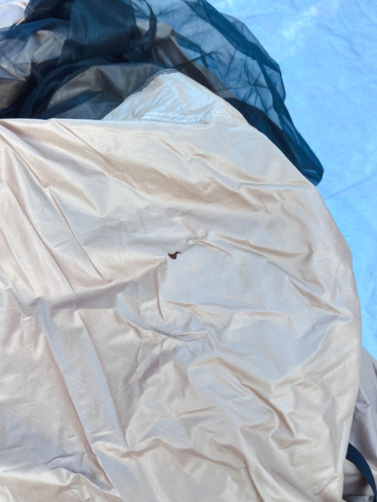 ラーテルワークスWALTENT２