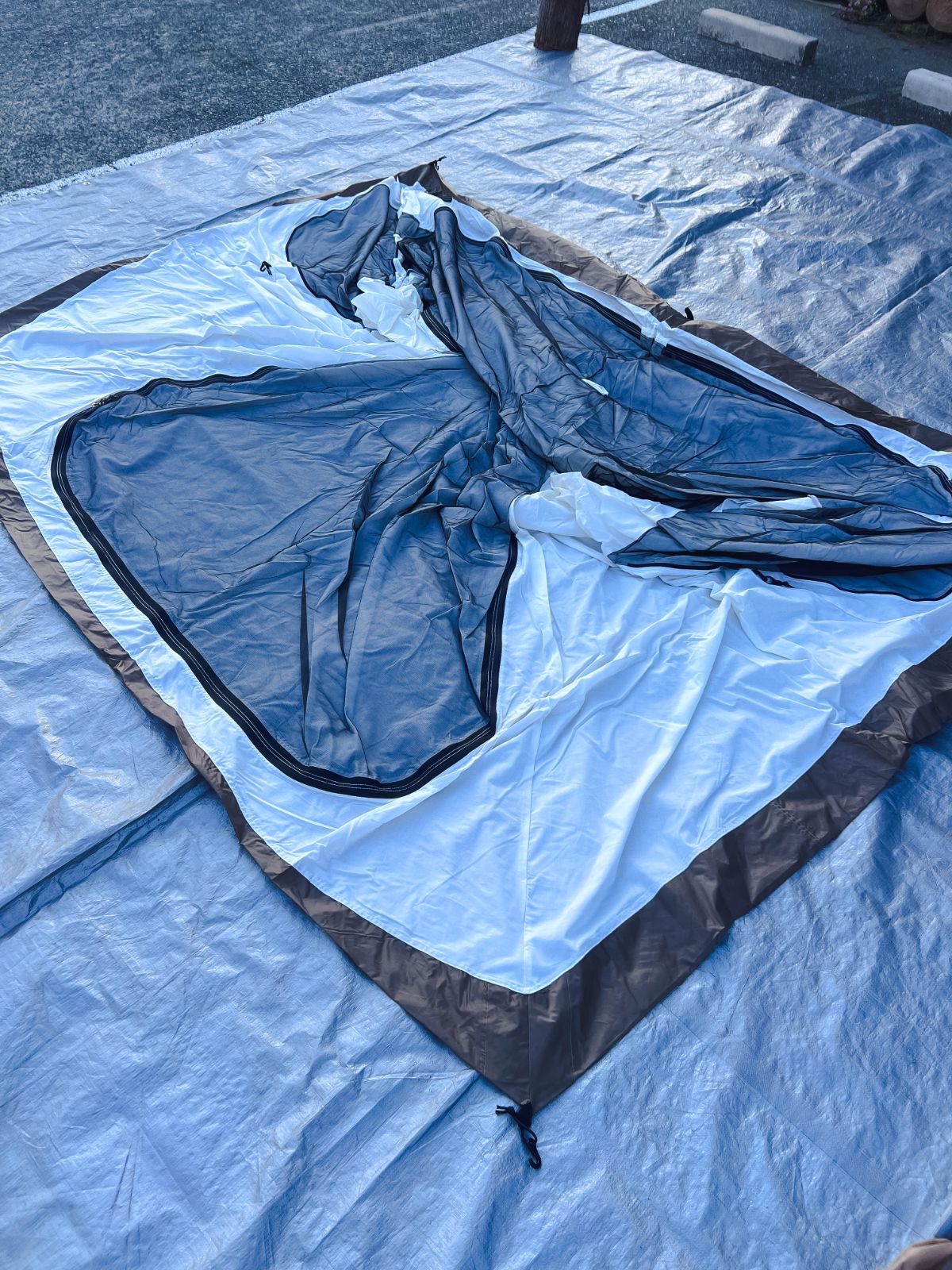 ラーテルワークスWALTENT２