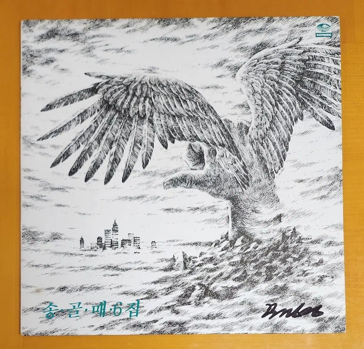 LP ソコトラオオワシ 6 家-誤解