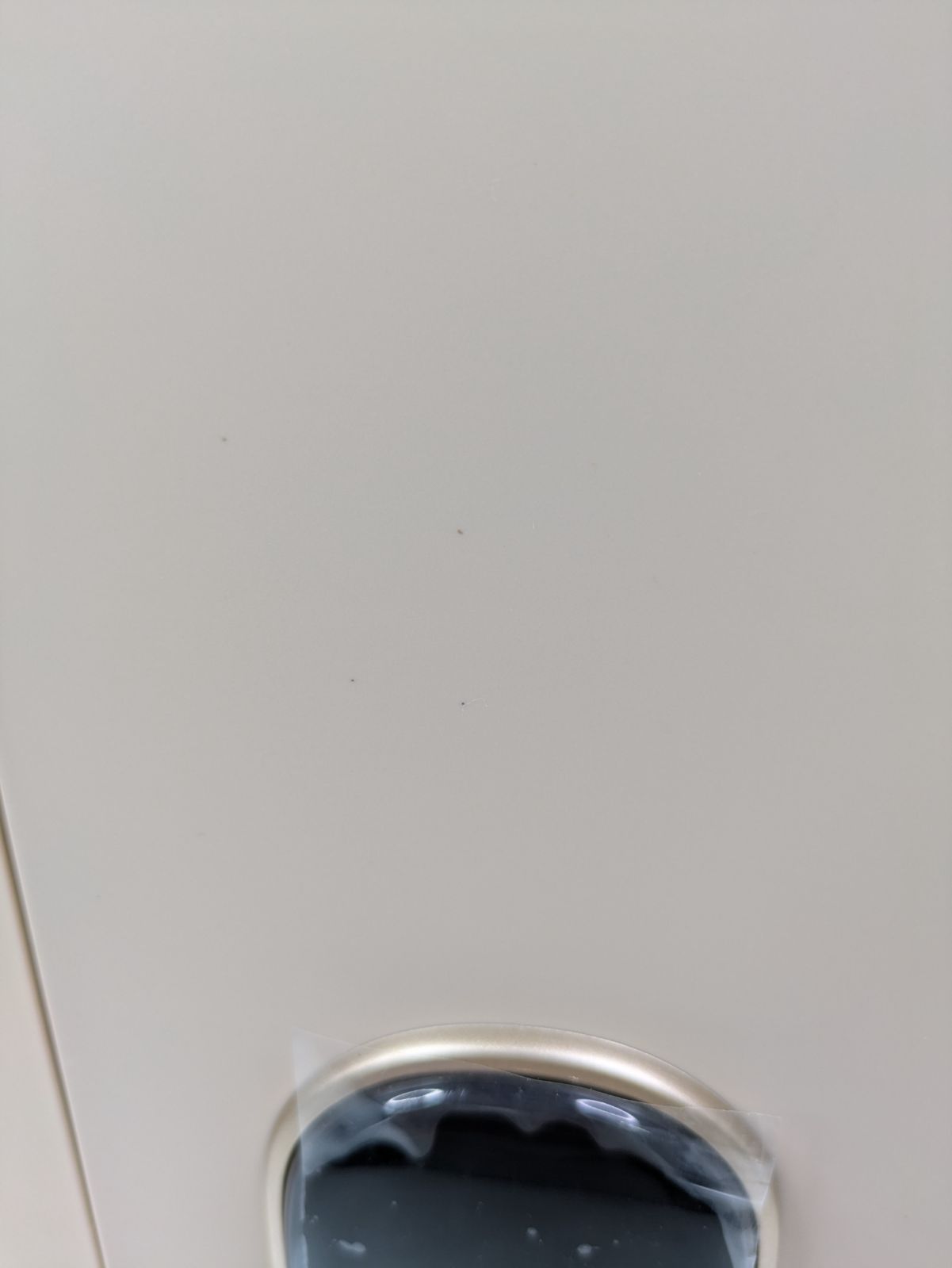 Relicia レリシア