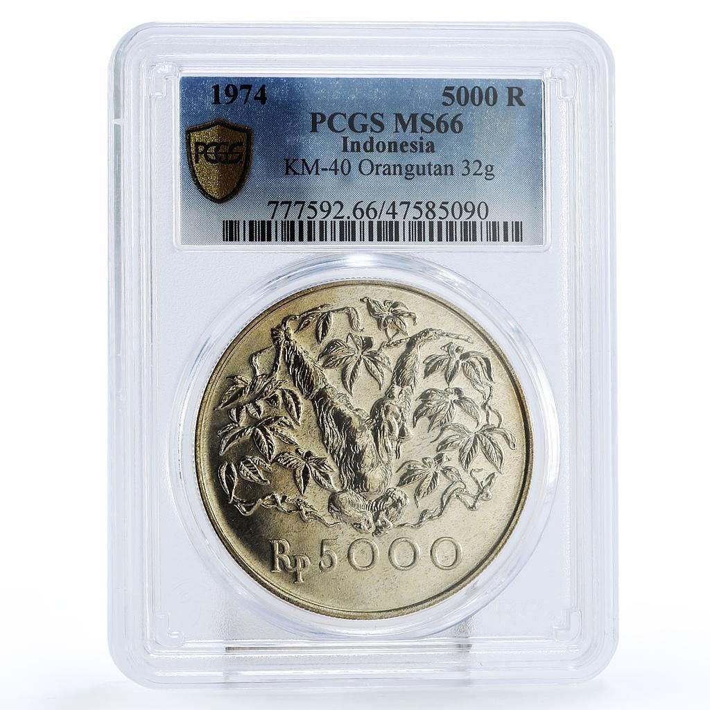 インシア 5000 ルピア コンサベーション オランウータン モンキー