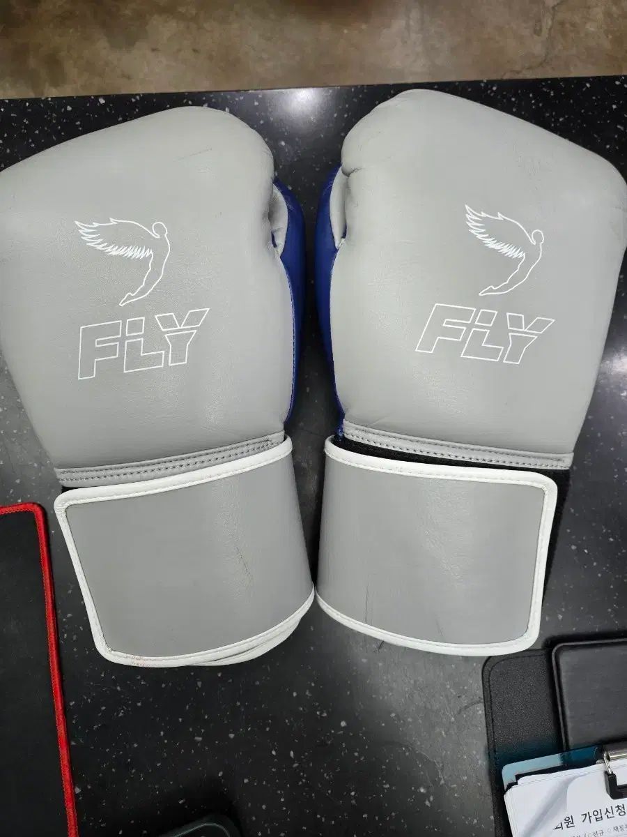 フライ x LINE スーパー ループ 2 新モデル 16 oz