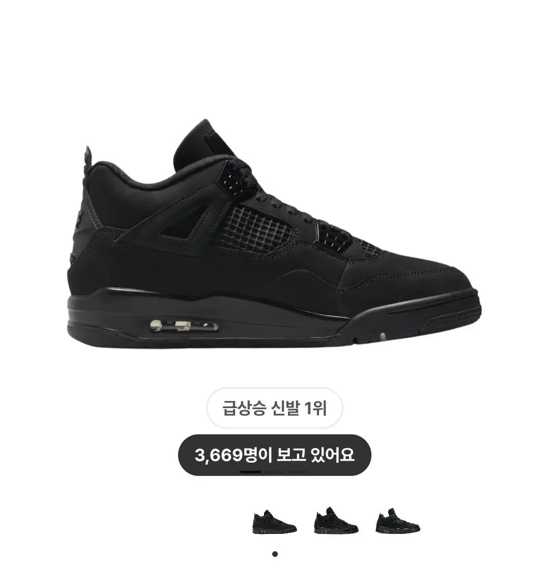 ジョーダン 4 レトロ ブラックキャット 2025 27.5 cm