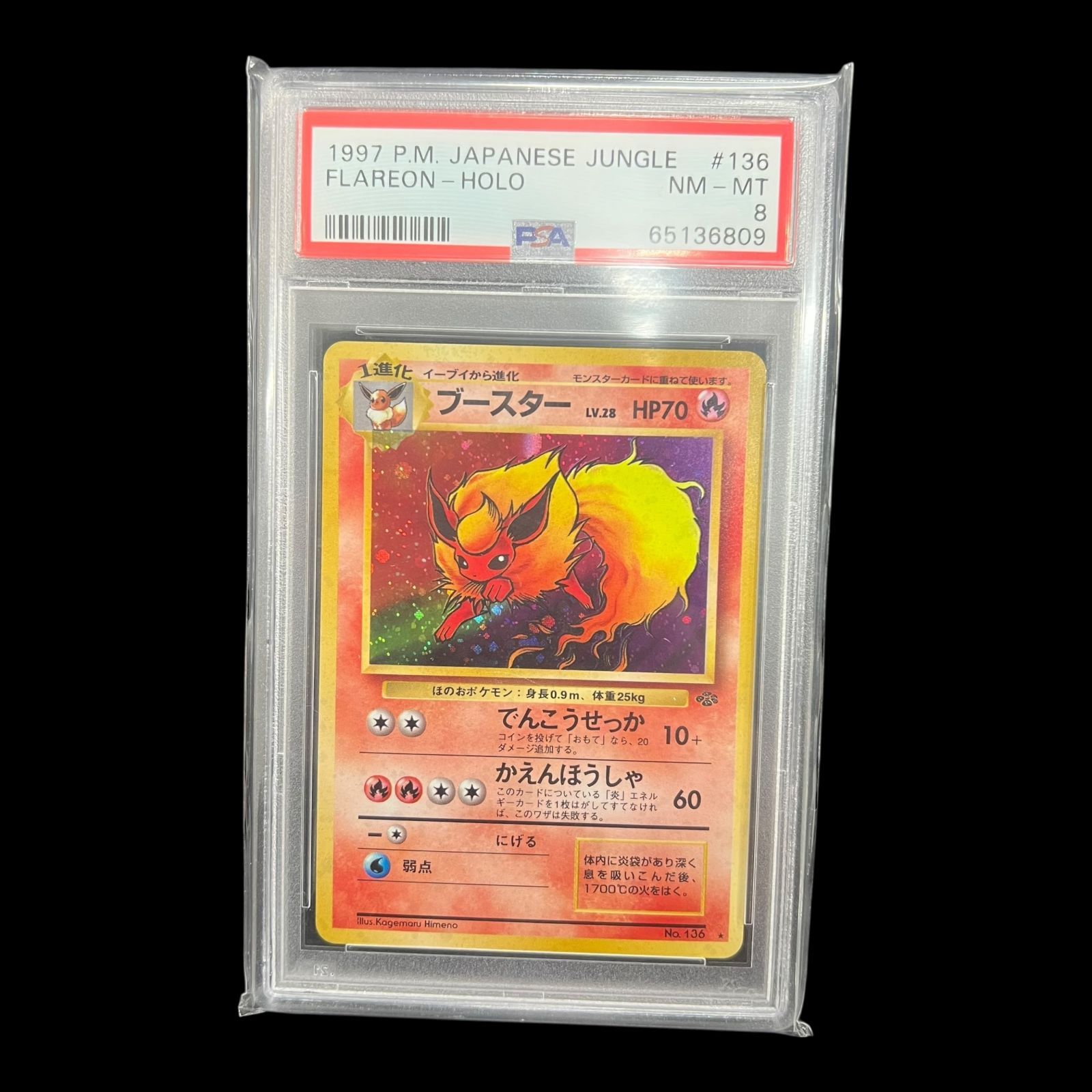 送料無料】ポケモンカード 旧裏面 ブースター PSA8 PSA鑑定 キラ ホロ