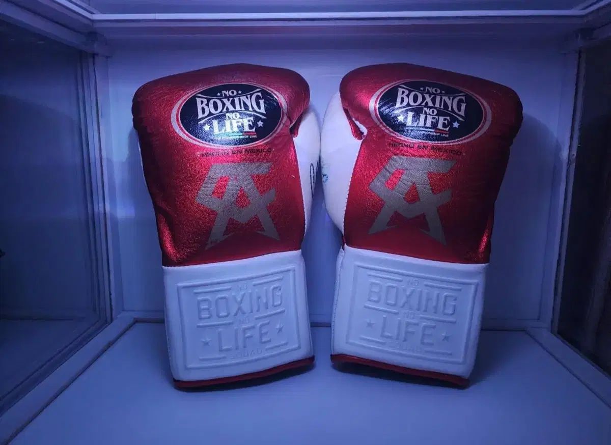 ノーボクシングノーライフ カネロエディション グローブ