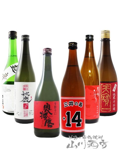 日本酒 6本　720ml 人気の日本酒 大辛口 飲み比べ 720ml 6本セット 【6636】【 日本酒