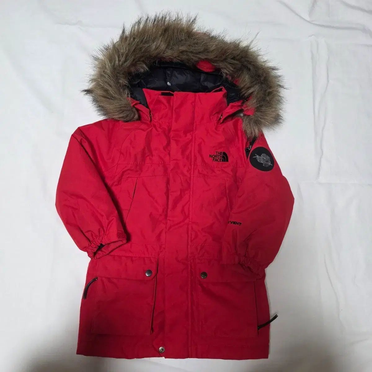 4-5歳 サイズ100 ザノースフェイス グースダウン ダウン