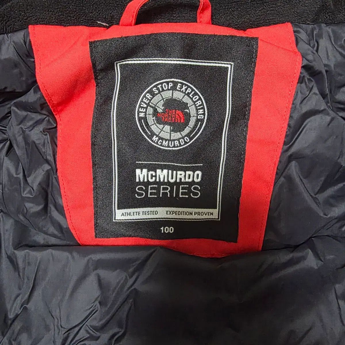 ザノースフェイス グースダウン