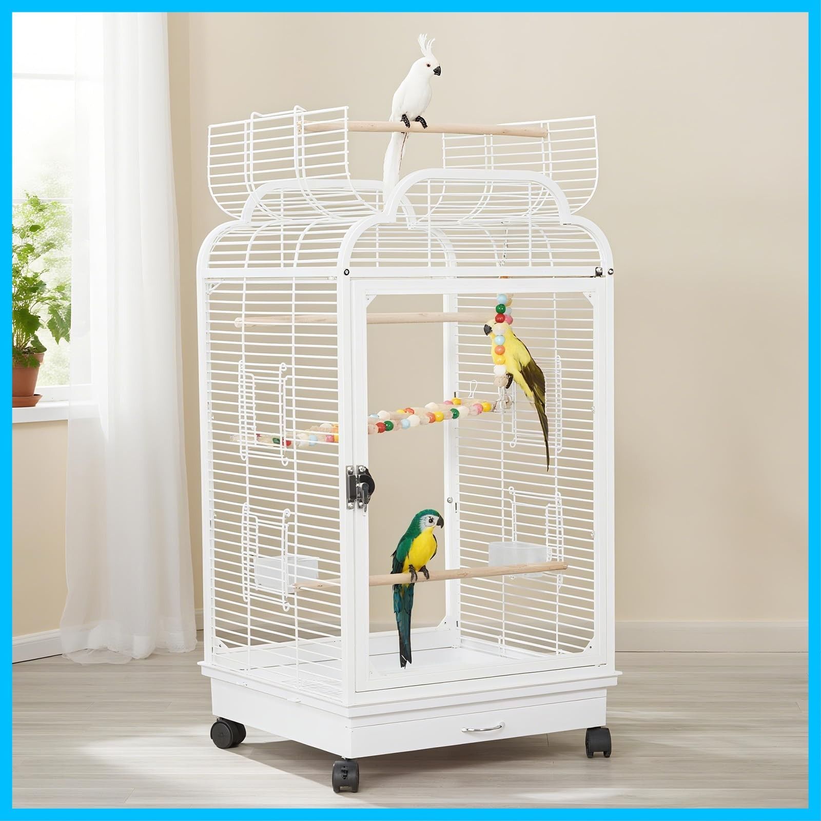 インコ 掃除しやすい ケージ オープントップ セキセイインコ 頑丈