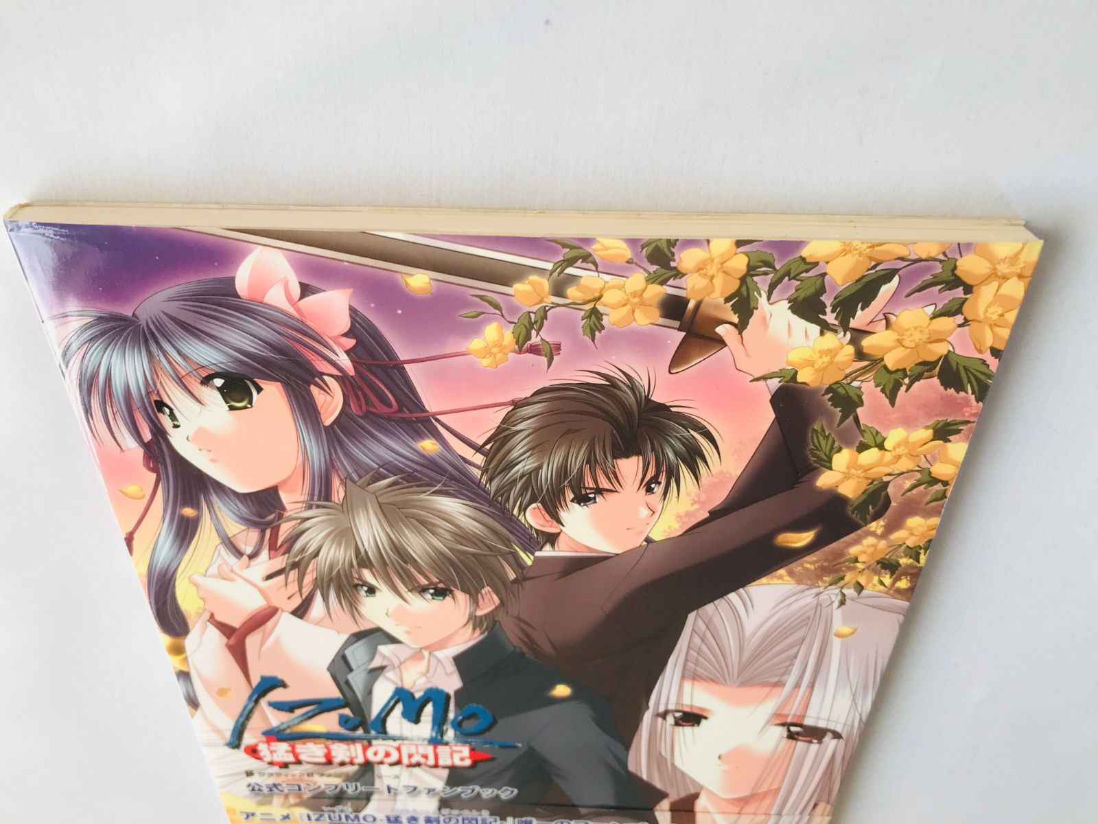 IZUMO 猛き剣の閃記 公式コンプリートファンブック 初版 帯 ハガキ 