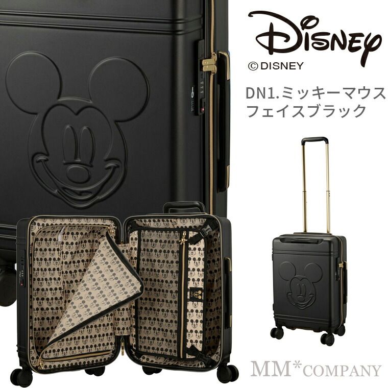 新品】スーツケース 機内持ち込み Sサイズ 30L 1～2泊用 旅行バッグ