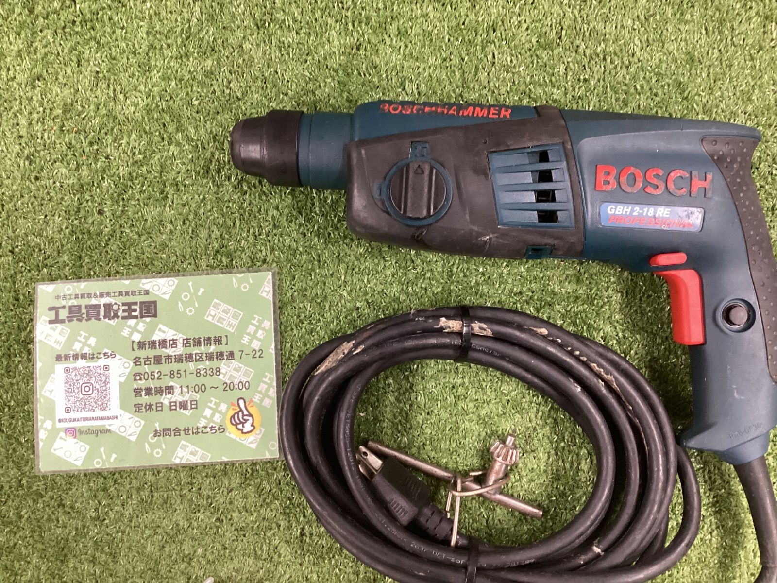 ブセファランドラ sp. Panyumpa Kab.Seruyan(TB)