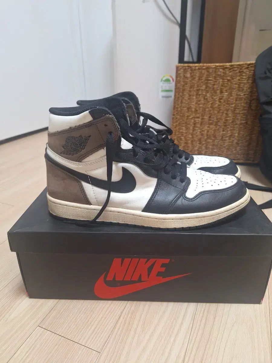 カトレアsr 購入 psa10