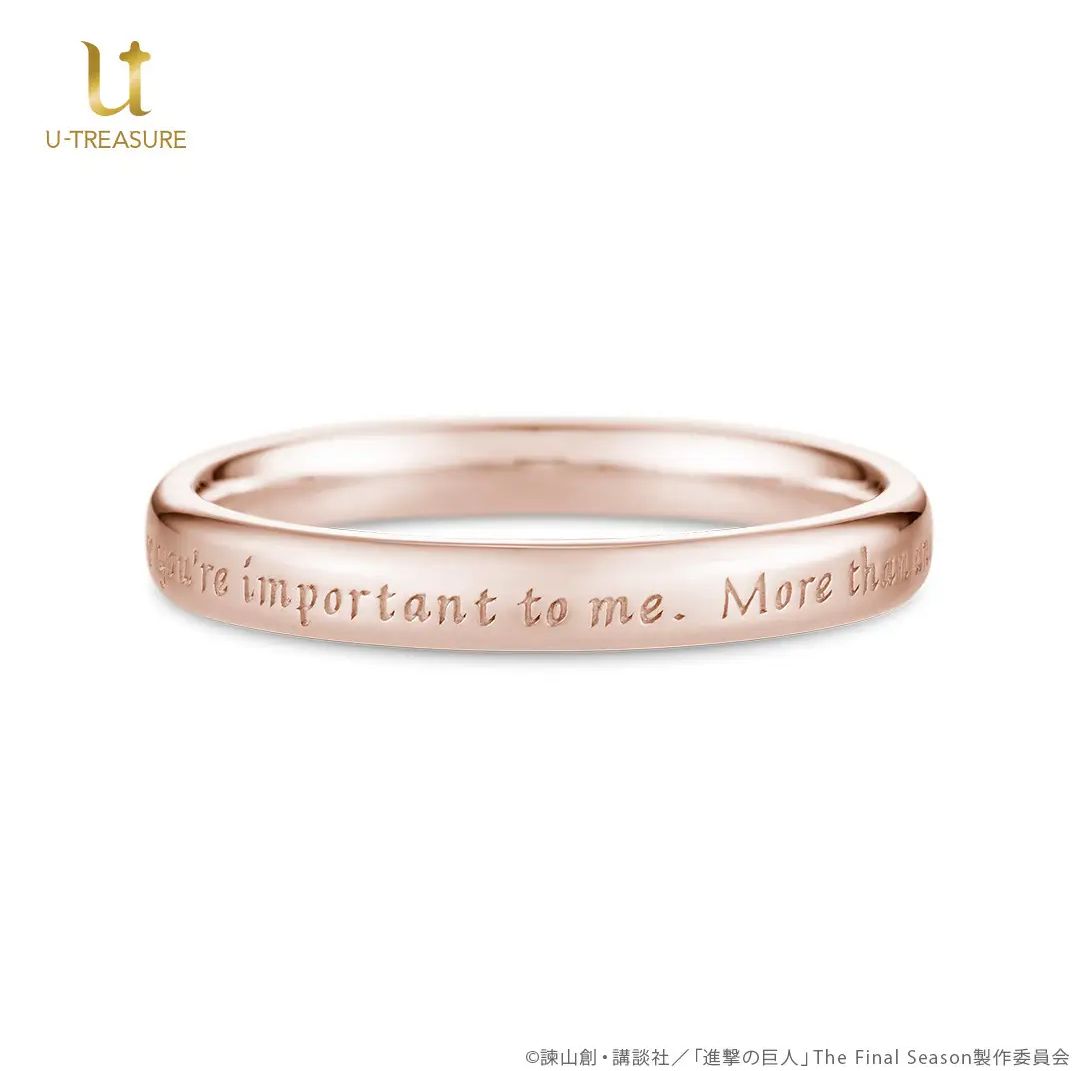 TVアニメ『進撃の巨人』 シンプルメッセージリング 5号（The Final