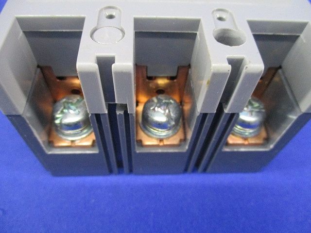 サーキットブレーカ 3P125A BBW-150S BBW3125SK - メルカリ