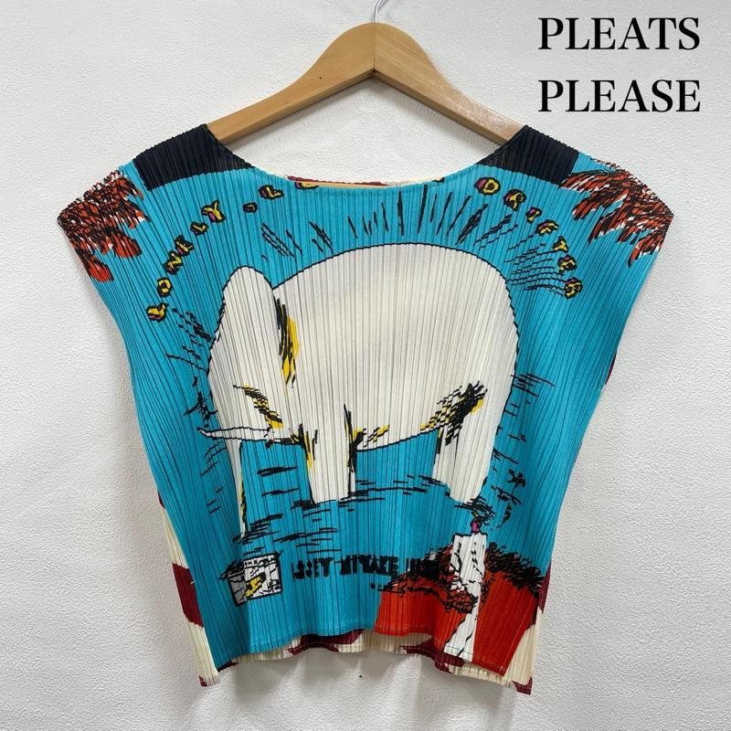 プリーツプリーズ ISSEY MIYAKE イッセイミヤケ TERRY JOHNSON テリー