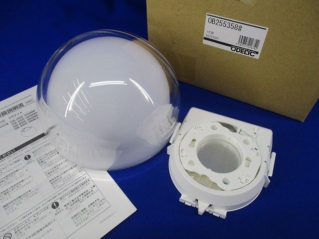 千葉恵里 AKB48 武道館20周年LIVE チャンスくじD賞 サイン入りチェキ