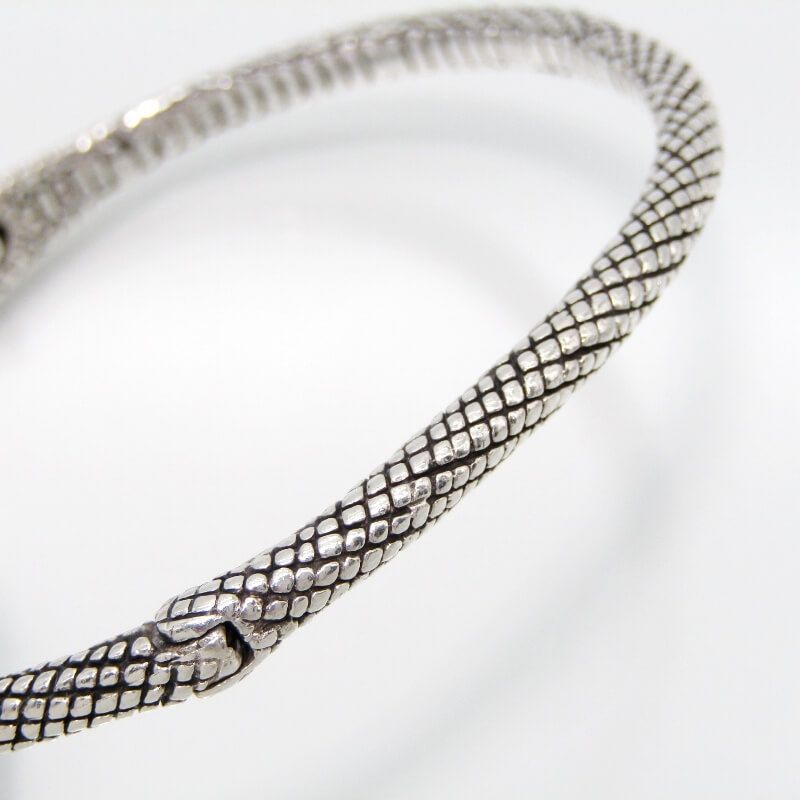 ガーネットアイ