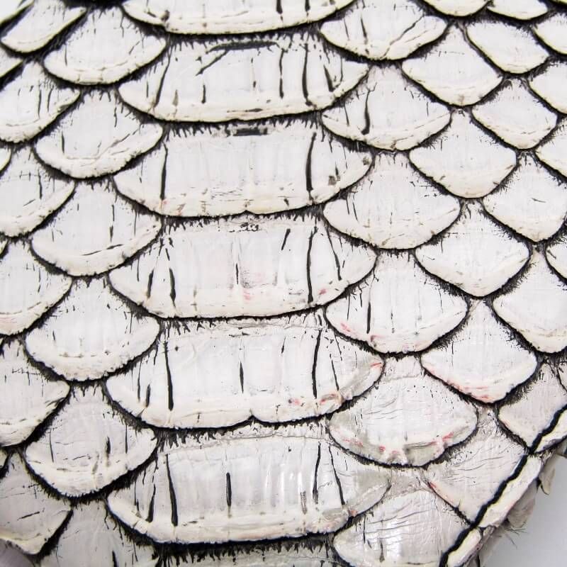 La crie ラクリエ ミニウォレット パイソン ミニ財布 ラクリエ式