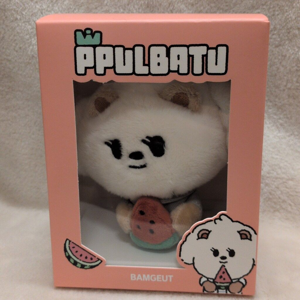 TXT 2025 PPULBATU SUMMER TOGETHER OFFICIAL MERCHANDISE BEOMGYU