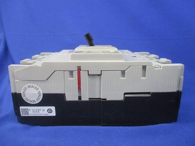 一般配線用漏電遮断器 3P125A(傷・汚れ有) EW250EAG-3P125 - メルカリ
