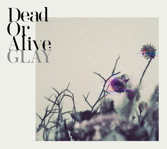 GLAY／Dead Or Alive (CD) PCCN-90012 2025/12/3発売 - メルカリ