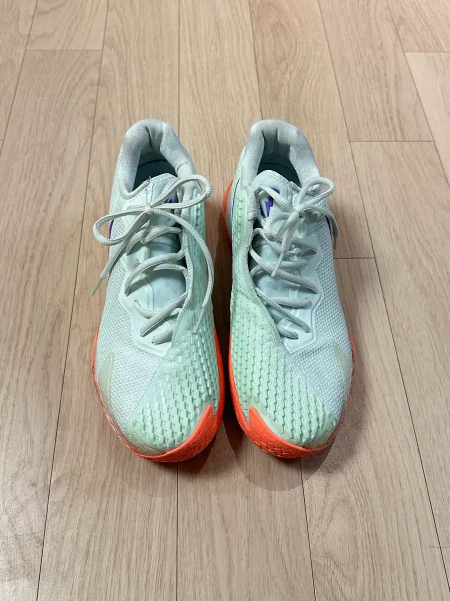 ナイキ コート ズーム ヴェイパー ケージ 4 ラファ 260 - メルカリ