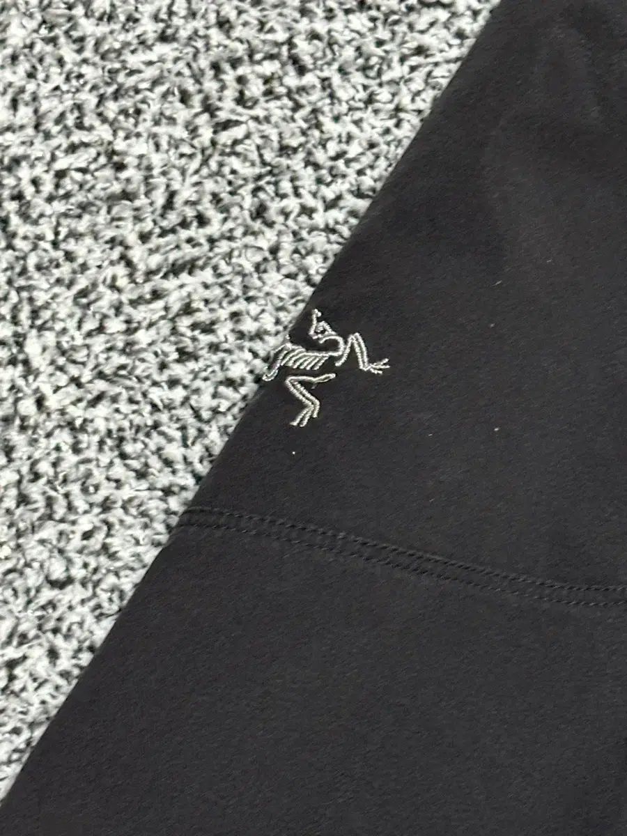 ARC TERYX アークテリクス メンズ32 ブラック ズボン