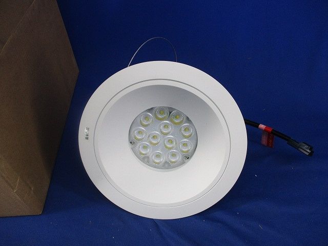 定番人気，お買い得 LEDベースダウンライト ERD2538W その他
