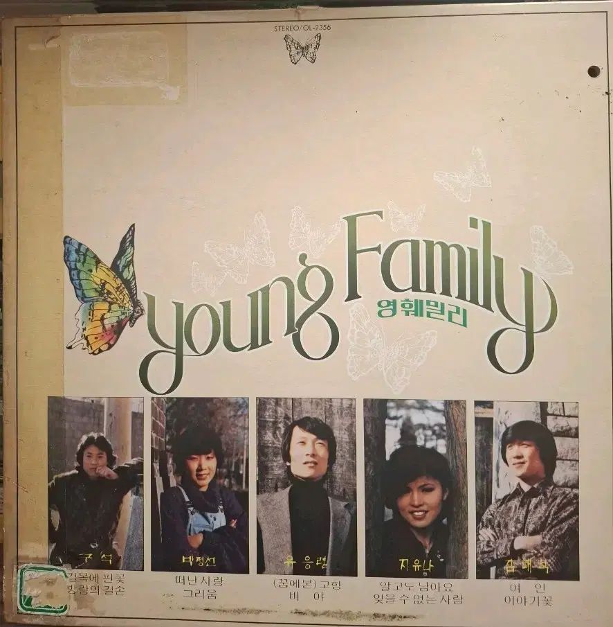 ヤングファミリー LP 81 初年度 なアルバム NM