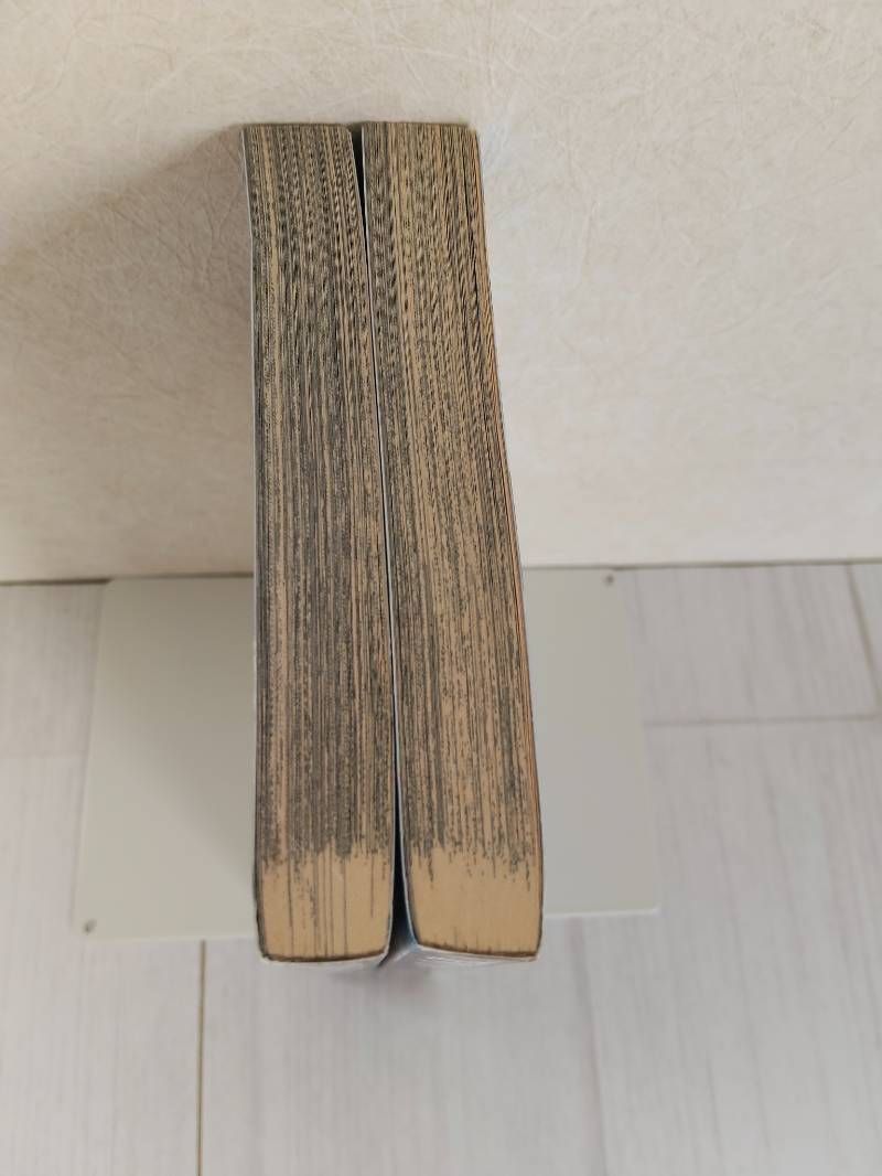 鬼滅の刃（DEMON SLAYER） 英語版 2・3巻 2冊セット - メルカリ