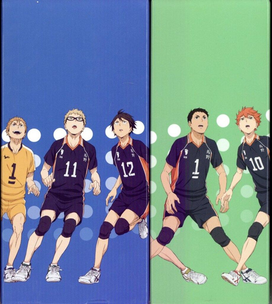 アニメDVD アニメイトBOX付 ハイキュー!! セカンドシーズン 全9巻 セット