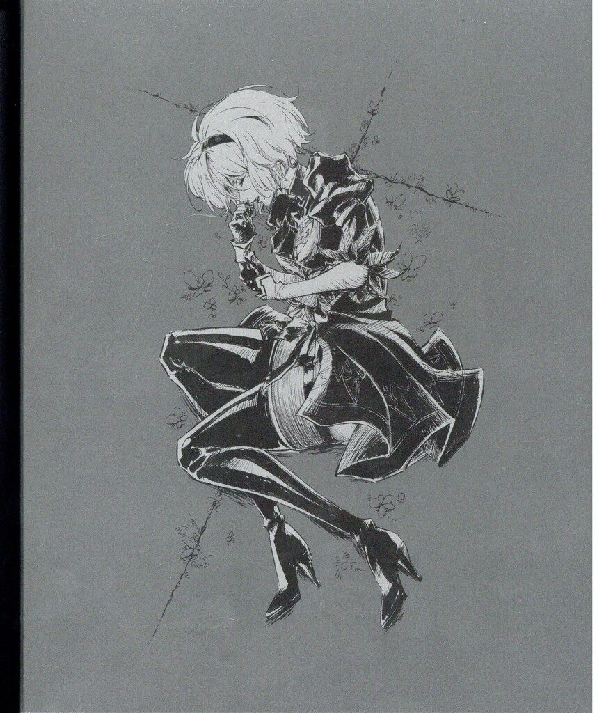 アニメDVD NieR Automata Ver 1 a Vol 完全生産 版