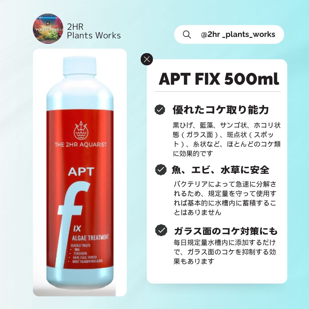 フランスアンティークホーロージャピー社花と小鳥のハンドペイント