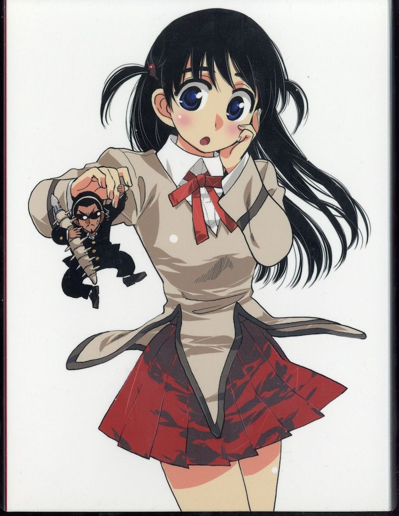 アニメDVD スクールランブル DVD BOX