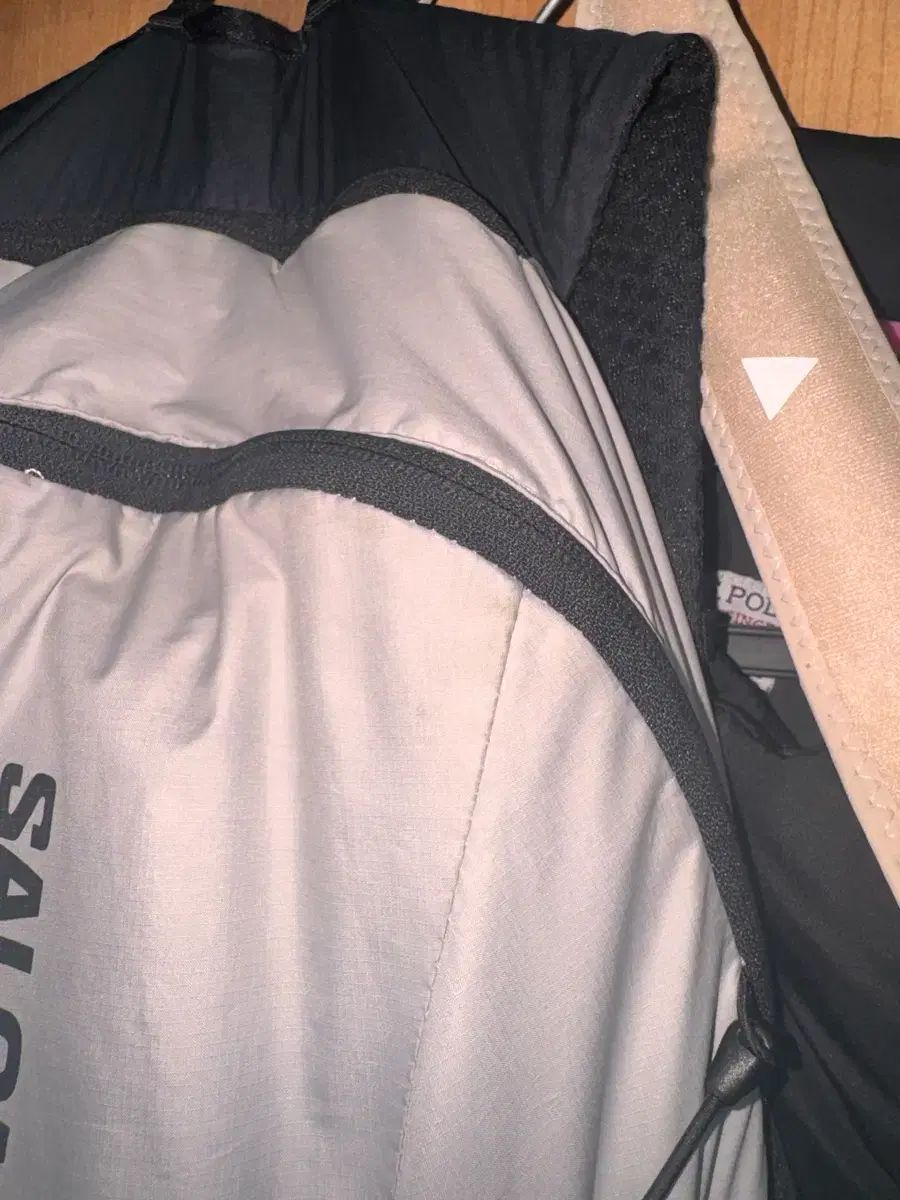 SALOMON サロモン PEAK 15 登山 バッグ バックパック