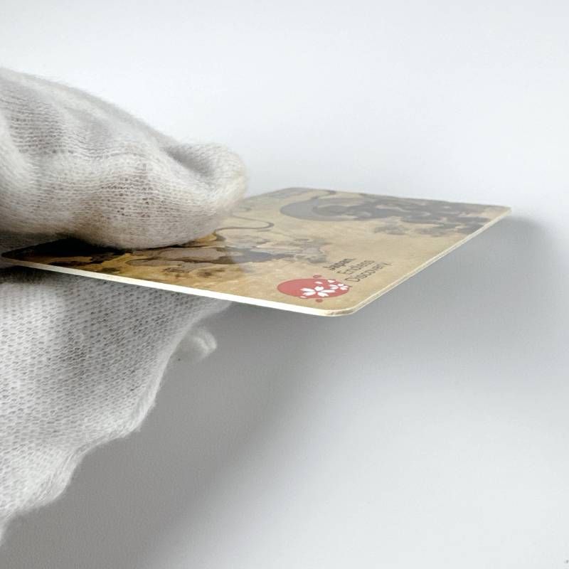 ICカード デザイン付き ICOCA 路線バスで交通系ICカード（ICOCA）を導入