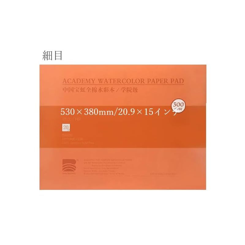 BAOHONG バオホン 水彩紙ブロック アカデミーグレード ブロック 入 300 g P 10相当 53 cm 38 20 9インチ 15インチ コットン 無酸性 細目 中目 荒目 ProDance プロダンス PA 006