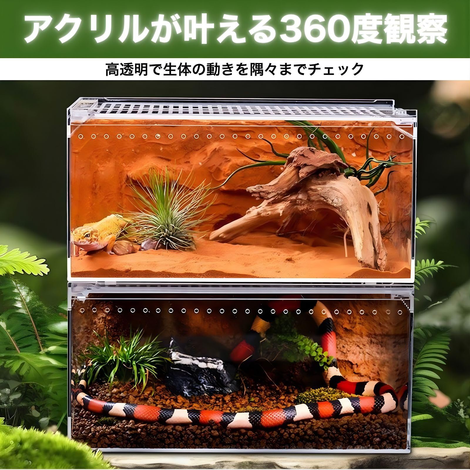 SESHIS 爬虫類 ケージ ボックス 飼育 ケース アクリル 透明 30x20x15cm