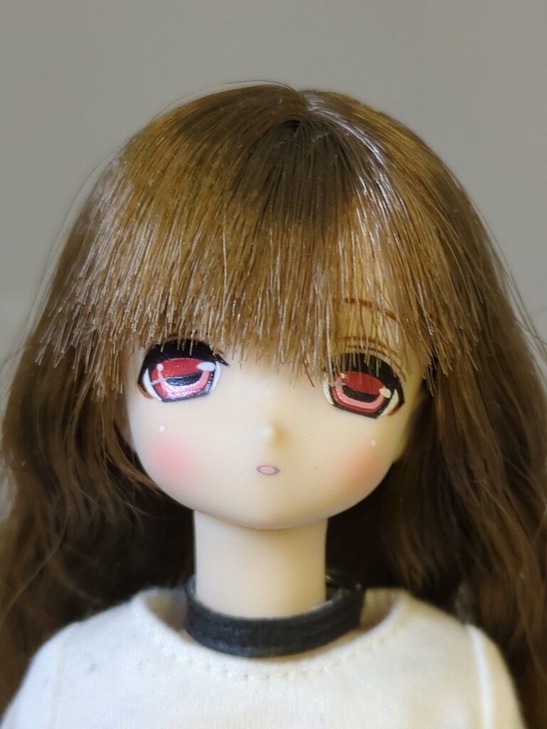 えっくす きゅーとふぁみりー