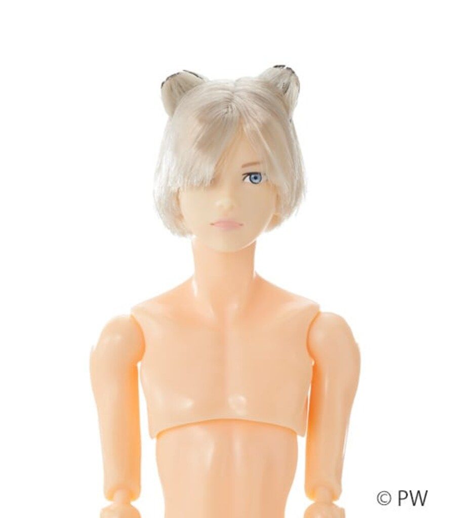 ☆新品☆ペットワークス 六分の一男子図鑑 エイト B2512 - メルカリ