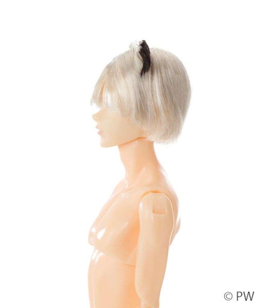 ペットワークス 六分の一男子図鑑 エイト B 2512