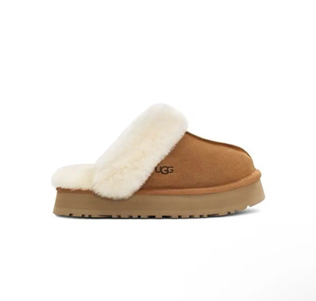 アグ ディスケット チェスナット us 7 アメリカ