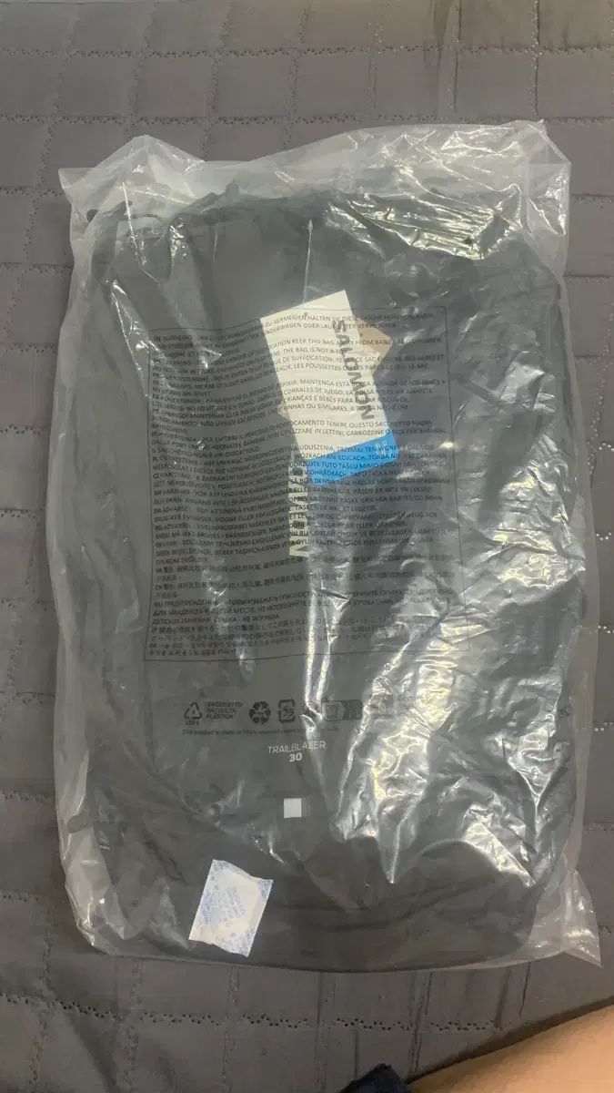 SALOMON サロモン トレイルブレーザー 30 バッグ