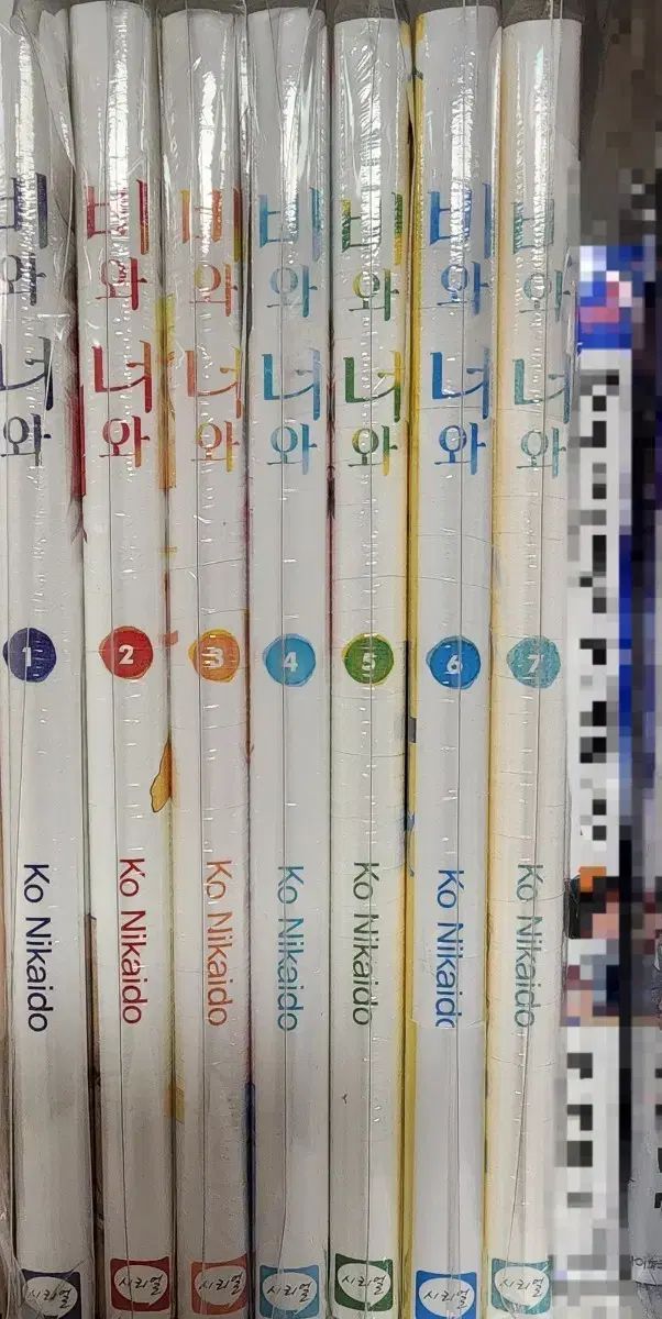 Ko Nikaido 作家の 雨と君と 1 7巻 初回版